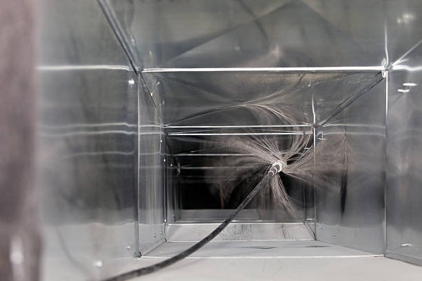 Air Duct Mold Removal in Richwood, WV